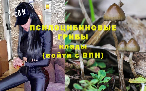 ешки Баксан